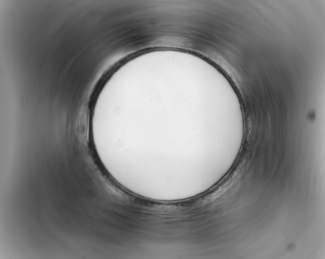 X0000103131123200809191935