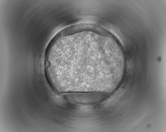 X0000103131124200809191935