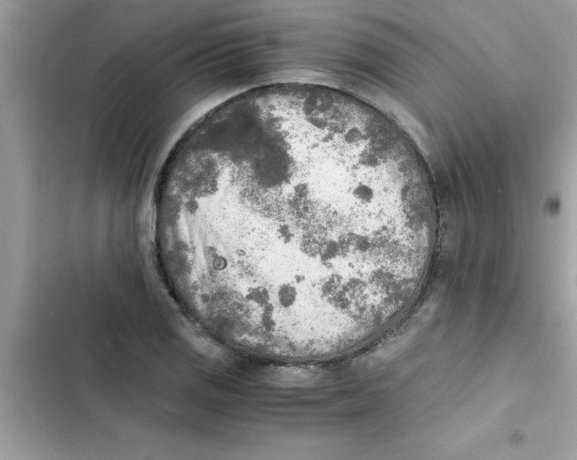 X0000103131125200809191935