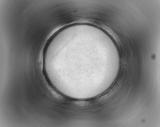 X0000103131127200809191935