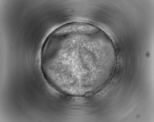 X0000103131128200809191935