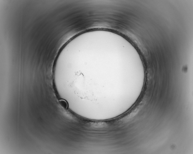X0000103131129200809191935