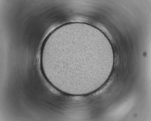 X0000103131130200809191935