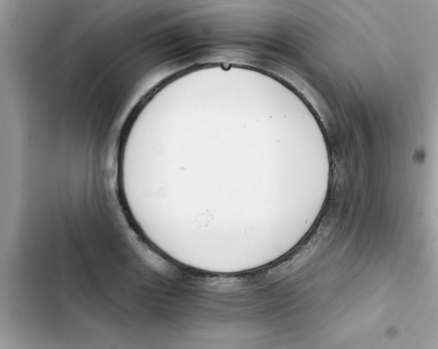 X0000103131131200809191935
