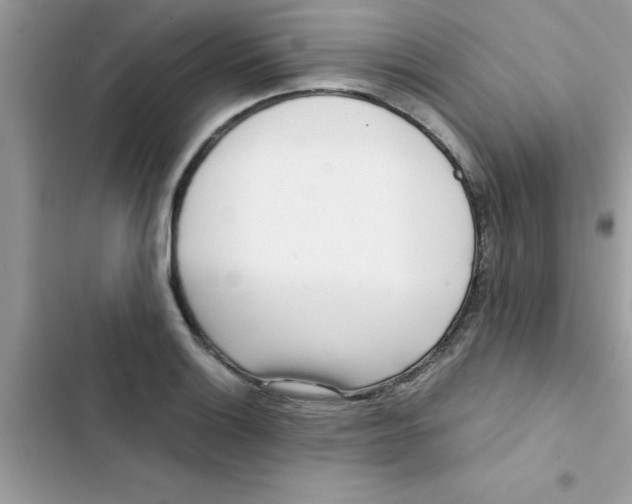 X0000103131132200809191935
