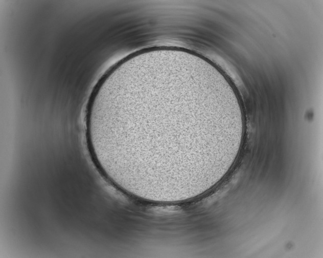X0000103131133200809191935