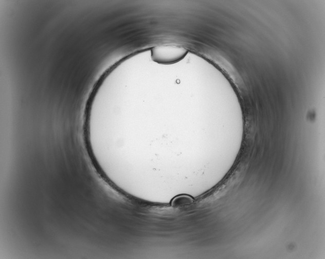 X0000103131135200809191935