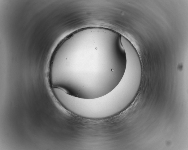 X0000103131136200809191935