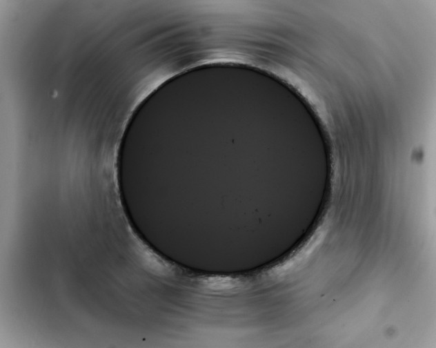 X0000103131137200809191935
