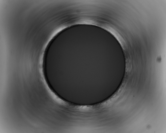 X0000103131139200809191935