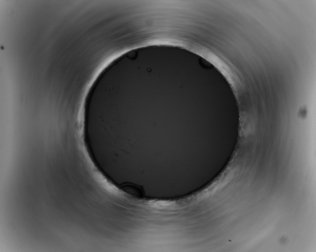 X0000103131140200809191935