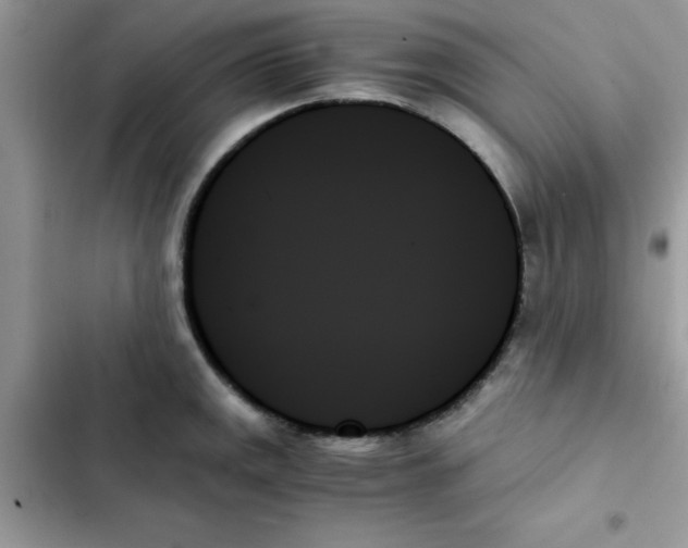 X0000103131141200809191935