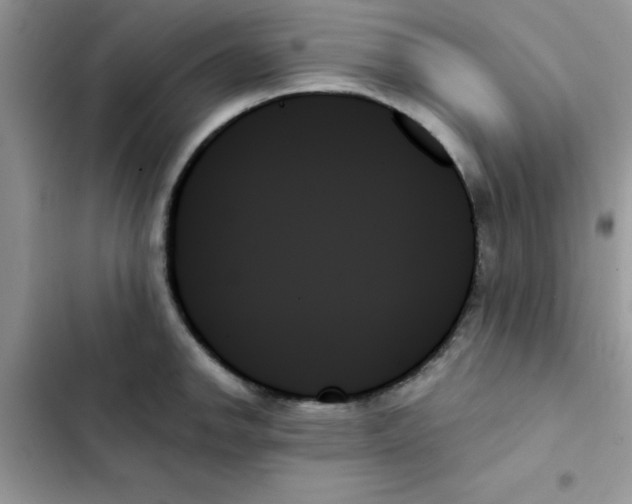X0000103131142200809191935
