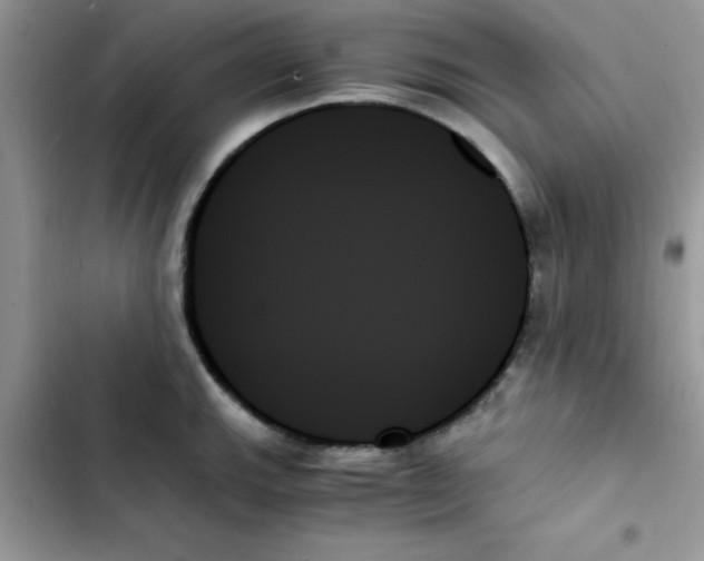 X0000103131143200809191935