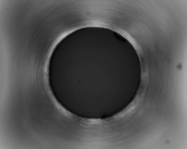 X0000103131144200809191935