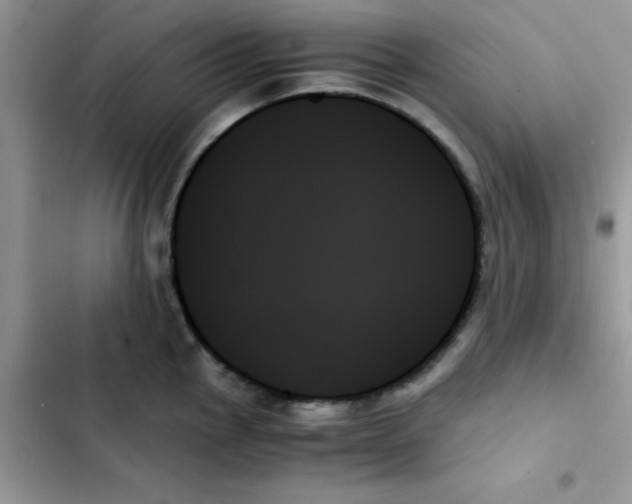 X0000103131145200809191935