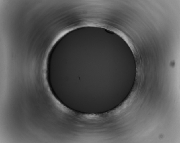 X0000103131147200809191935