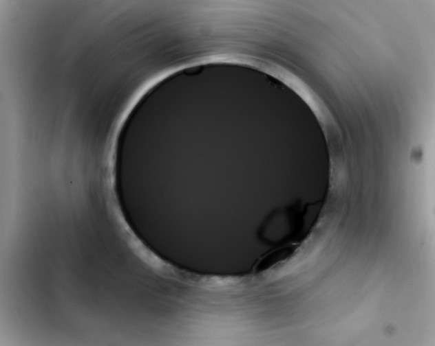 X0000103131148200809191935