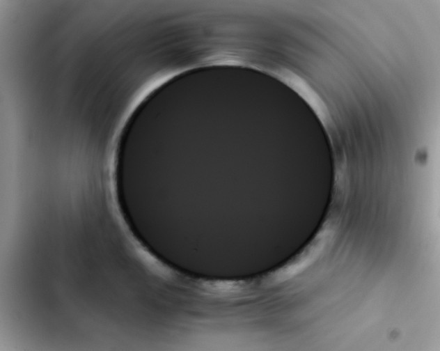 X0000103131149200809191935