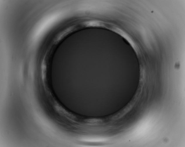 X0000103131151200809191935