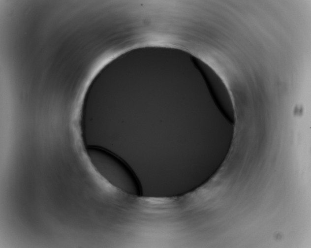X0000103131152200809191935