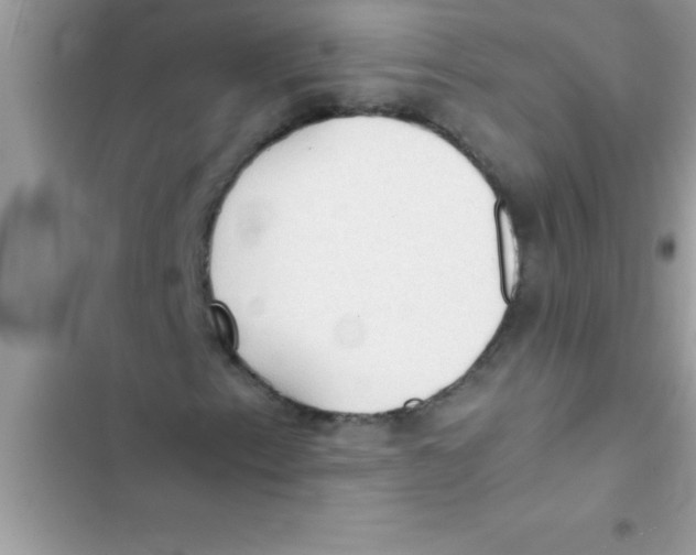 X0000103131153200809191934