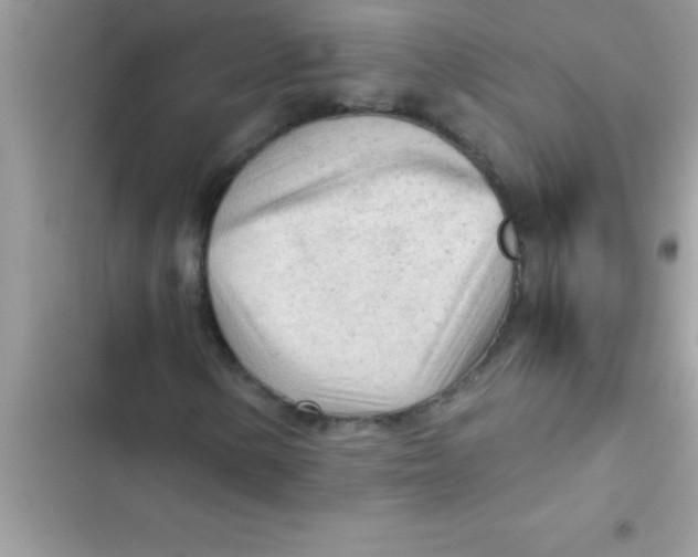 X0000103131154200809191934