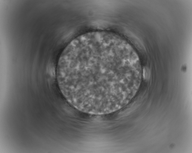 X0000103131155200809191934