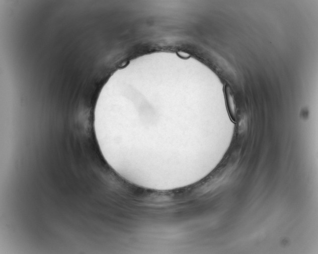 X0000103131156200809191934