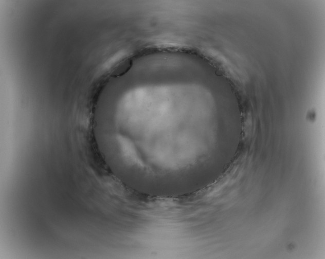 X0000103131157200809191934
