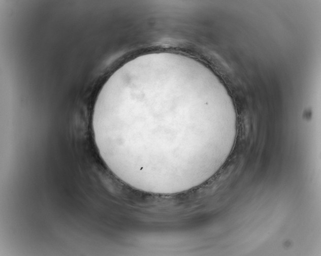 X0000103131158200809191934