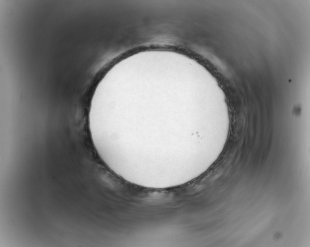 X0000103131160200809191934