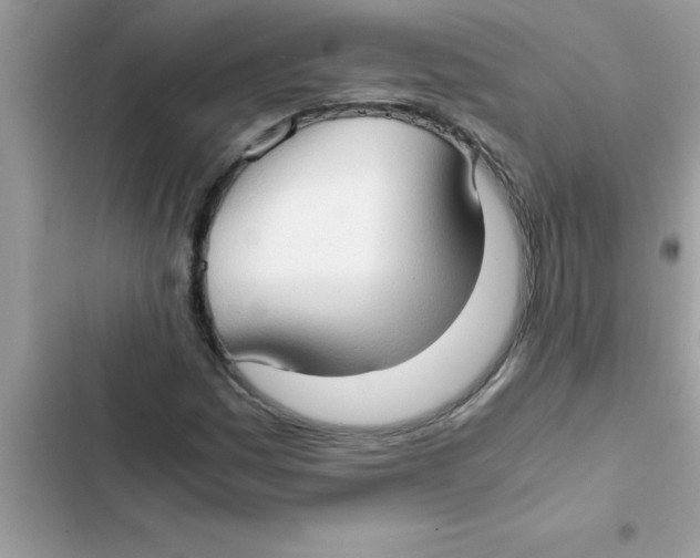 X0000103131161200809191934