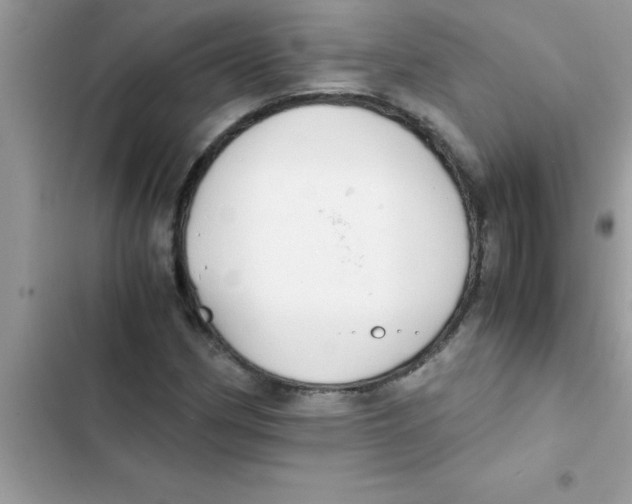 X0000103131162200809191934