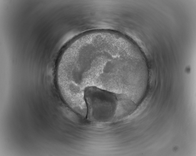 X0000103131163200809191934