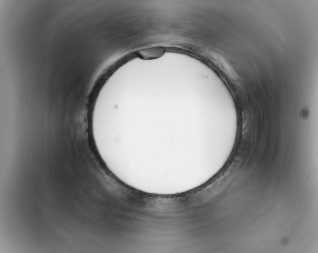X0000103131164200809191934