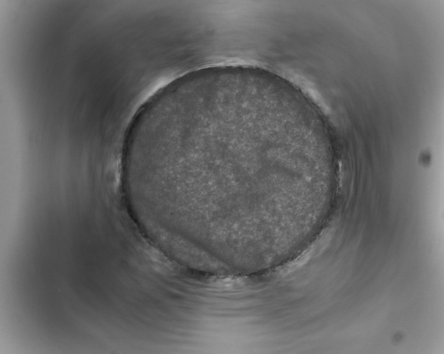 X0000103131165200809191934