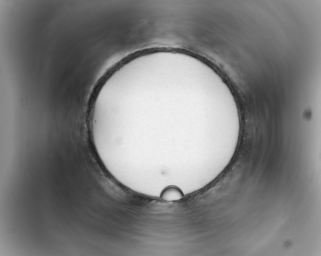 X0000103131168200809191934