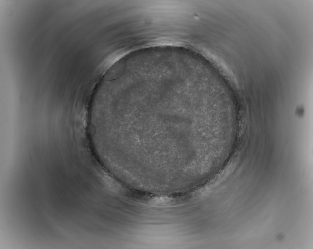 X0000103131169200809191934