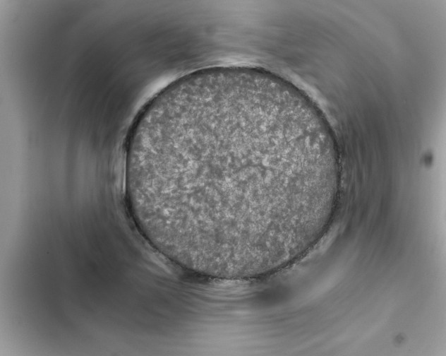 X0000103131171200809191934