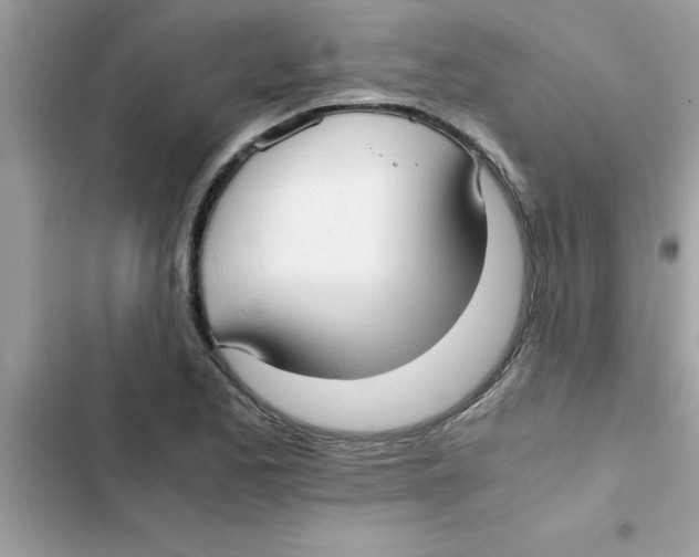 X0000103131173200809191934
