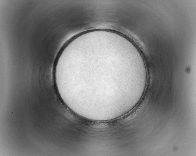 X0000103131174200809191934