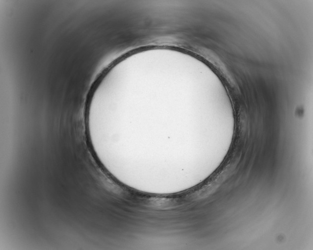 X0000103131176200809191934