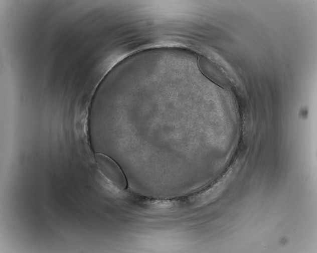X0000103131177200809191934