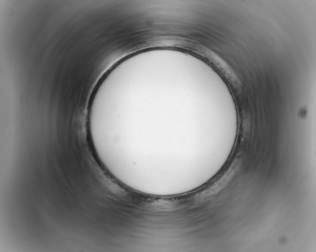 X0000103131178200809191934