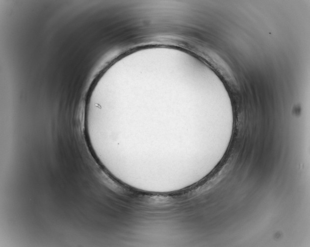 X0000103131180200809191934