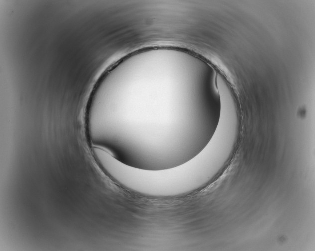 X0000103131181200809191934