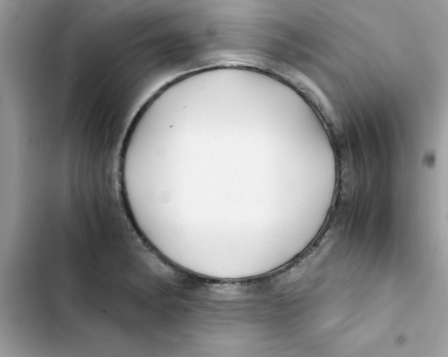 X0000103131182200809191934