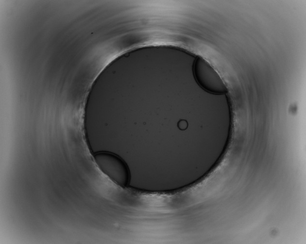 X0000103131185200809191934