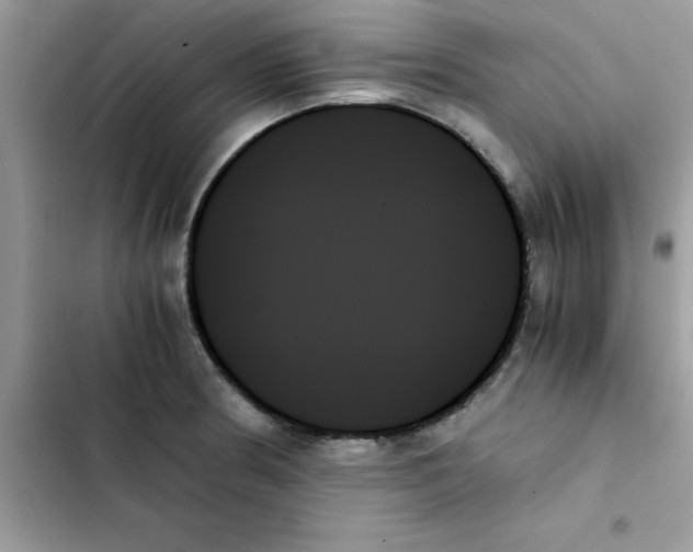 X0000103131186200809191934